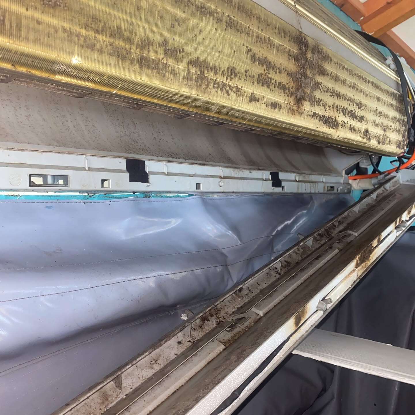 Split system opened up with a mould-streaked coil and a wash bag fitted underneath